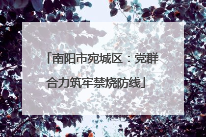 南阳市宛城区：党群合力筑牢禁烧防线
