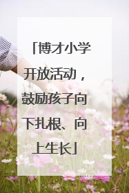 博才小学开放活动，鼓励孩子向下扎根、向上生长