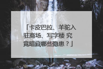 卡皮巴拉、羊驼入驻商场、写字楼 究竟暗藏哪些隐患？