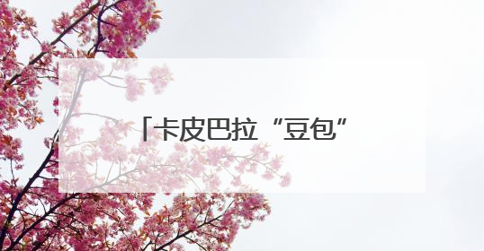 卡皮巴拉“豆包”征婚：无需彩礼，有正式编制，嫁妆豪华别墅＋专属泳池！