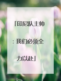 印尼队主帅：我们必须全力以赴