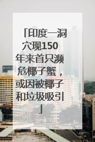 印度一洞穴现150年来首只濒危椰子蟹，或因被椰子和垃圾吸引