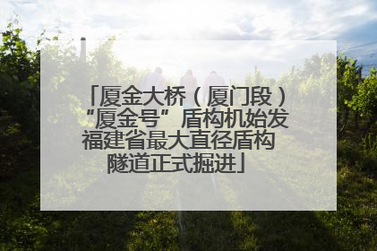 厦金大桥（厦门段）“厦金号”盾构机始发 福建省最大直径盾构隧道正式掘进
