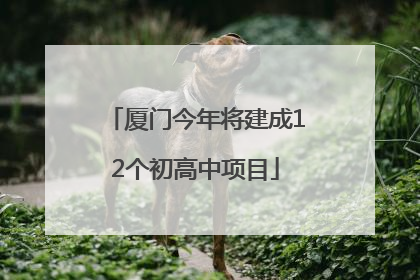 厦门今年将建成12个初高中项目