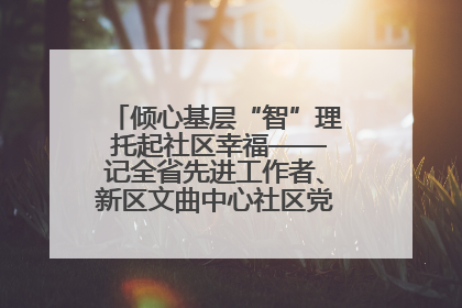 倾心基层“智”理 托起社区幸福——记全省先进工作者、新区文曲中心社区党委书记董世弘