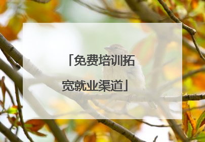 免费培训拓宽就业渠道