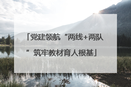 党建领航“两线+两队”筑牢教材育人根基