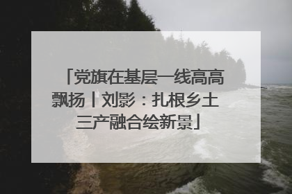 党旗在基层一线高高飘扬丨刘影：扎根乡土 三产融合绘新景