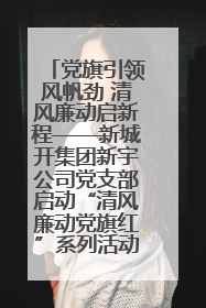 党旗引领风帆劲 清风廉动启新程——新城开集团新宇公司党支部启动“清风廉动党旗红”系列活动
