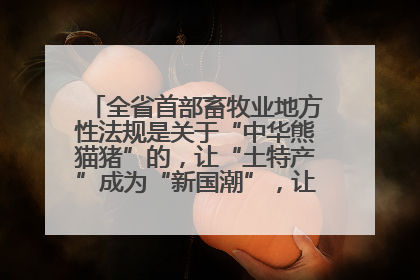 全省首部畜牧业地方性法规是关于“中华熊猫猪”的，让“土特产”成为“新国潮”，让“农产品”升格为“城市IP”
