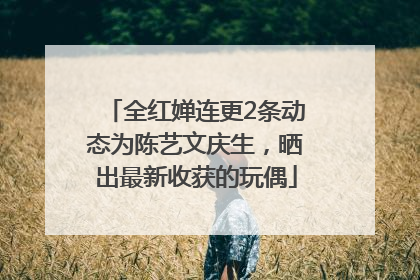 全红婵连更2条动态为陈艺文庆生，晒出最新收获的玩偶