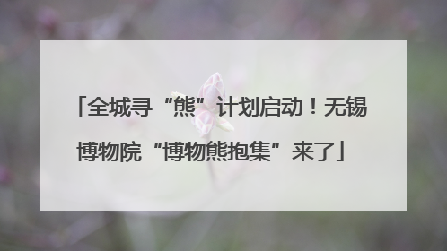 全城寻“熊”计划启动！无锡博物院“博物熊抱集”来了