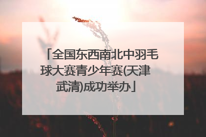 全国东西南北中羽毛球大赛青少年赛(天津武清)成功举办