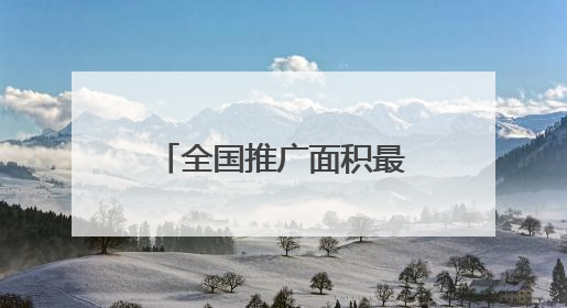 全国推广面积最大的大豆、水稻品种均出自黑龙江