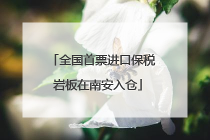 全国首票进口保税岩板在南安入仓