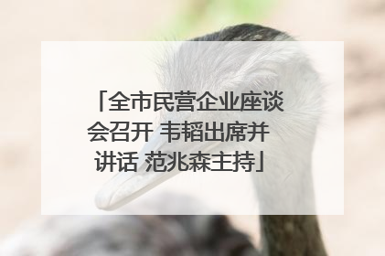 全市民营企业座谈会召开 韦韬出席并讲话 范兆森主持