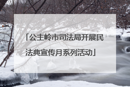 公主岭市司法局开展民法典宣传月系列活动
