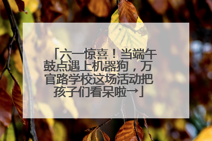 六一惊喜！当端午鼓点遇上机器狗，万官路学校这场活动把孩子们看呆啦→