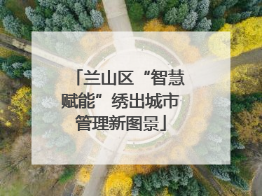 兰山区“智慧赋能”绣出城市管理新图景