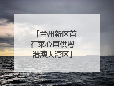 兰州新区首茬菜心直供粤港澳大湾区