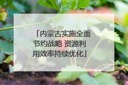 内蒙古实施全面节约战略 资源利用效率持续优化