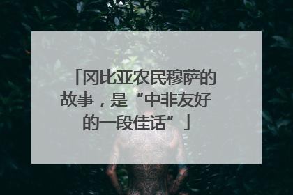 冈比亚农民穆萨的故事，是“中非友好的一段佳话”
