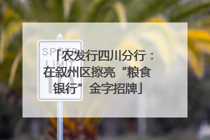农发行四川分行：在叙州区擦亮“粮食银行”金字招牌