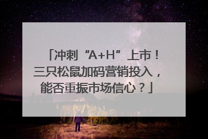 冲刺“A+H”上市！三只松鼠加码营销投入，能否重振市场信心？