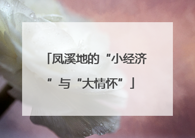 凤溪地的“小经济”与“大情怀”
