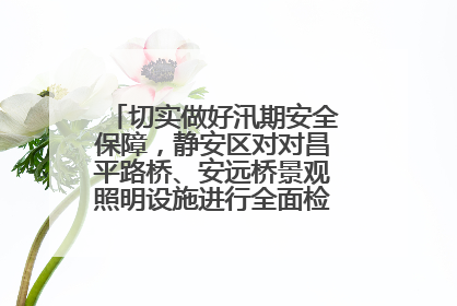 切实做好汛期安全保障，静安区对对昌平路桥、安远桥景观照明设施进行全面检查与维护