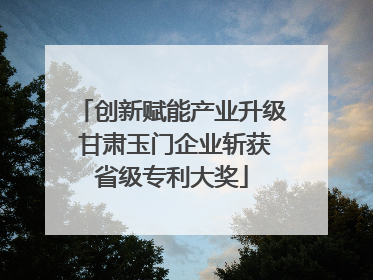 创新赋能产业升级 甘肃玉门企业斩获省级专利大奖