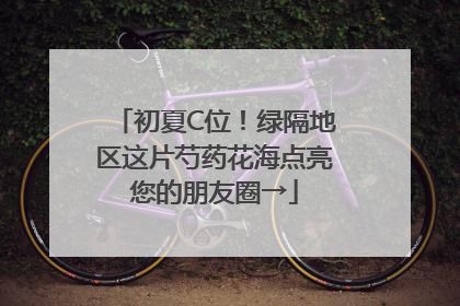 初夏C位！绿隔地区这片芍药花海点亮您的朋友圈→