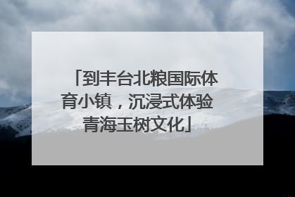 到丰台北粮国际体育小镇，沉浸式体验青海玉树文化