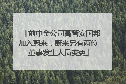 前中金公司高管安国邦加入蔚来，蔚来另有两位董事发生人员变更