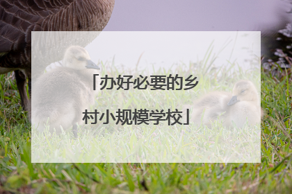 办好必要的乡村小规模学校