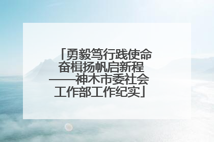 勇毅笃行践使命 奋楫扬帆启新程——神木市委社会工作部工作纪实