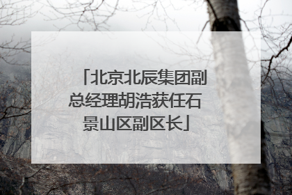 北京北辰集团副总经理胡浩获任石景山区副区长