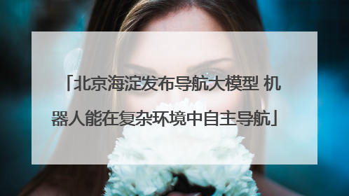 北京海淀发布导航大模型 机器人能在复杂环境中自主导航