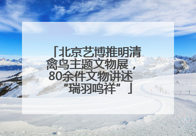 北京艺博推明清禽鸟主题文物展，80余件文物讲述“瑞羽鸣祥”