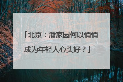 北京：潘家园何以悄悄成为年轻人心头好？