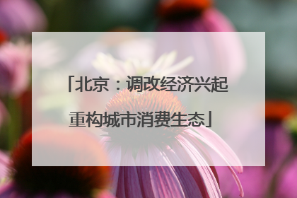 北京：调改经济兴起 重构城市消费生态