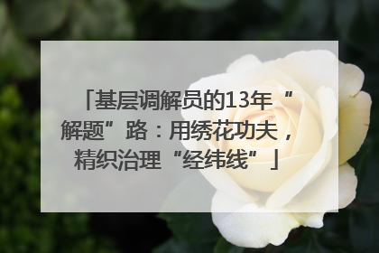 基层调解员的13年“解题”路：用绣花功夫，精织治理“经纬线”
