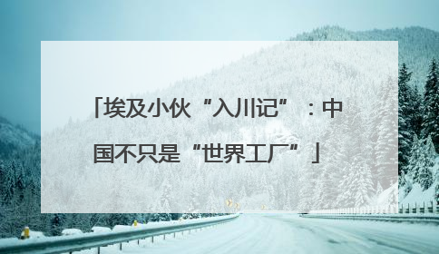 埃及小伙“入川记”：中国不只是“世界工厂”