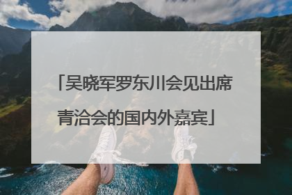吴晓军罗东川会见出席青洽会的国内外嘉宾