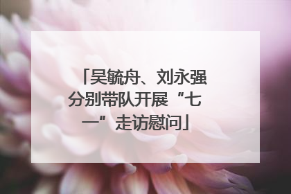 吴毓舟、刘永强分别带队开展“七一”走访慰问