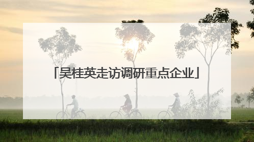吴桂英走访调研重点企业
