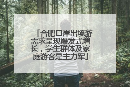 合肥口岸出境游需求呈现爆发式增长，学生群体及家庭游客是主力军