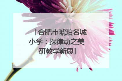 合肥市琥珀名城小学：探律动之美 研教学新思
