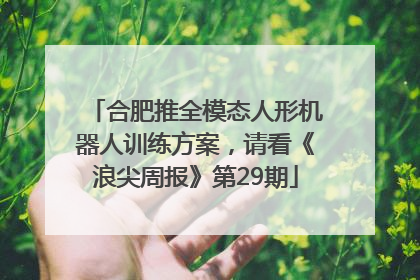 合肥推全模态人形机器人训练方案，请看《浪尖周报》第29期