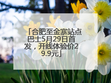 合肥至金寨站点巴士5月29日首发，开线体验价29.9元